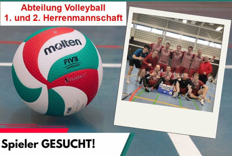 Volleyballer suchen Dich!